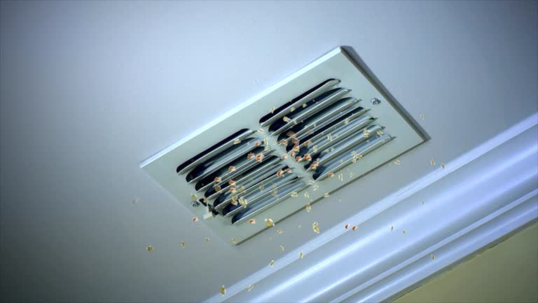 Best HVAC Duct Inspection Services  in Henrietta, TX