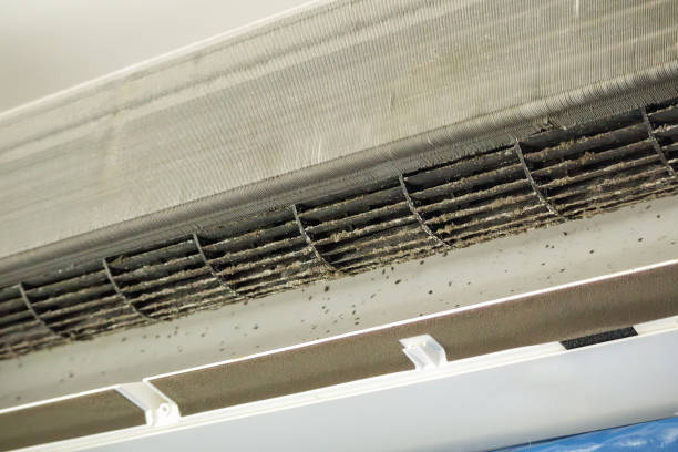 Best Affordable Duct Cleaning Services  in Henrietta, TX